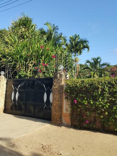 Bed & Breakfast Luna House Moyo Wa Dunia Ltd