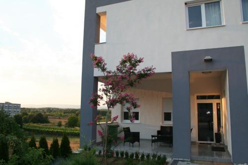 Apartments Planinich