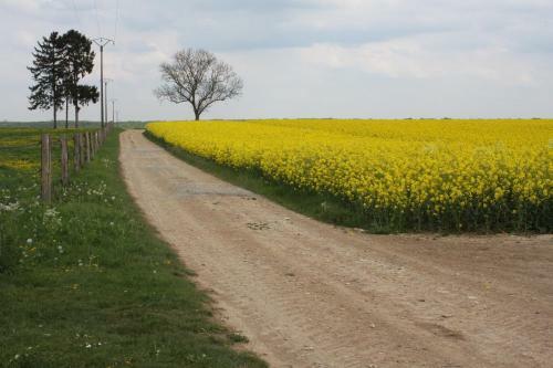 Bed & Breakfast La Grange de Boulaines