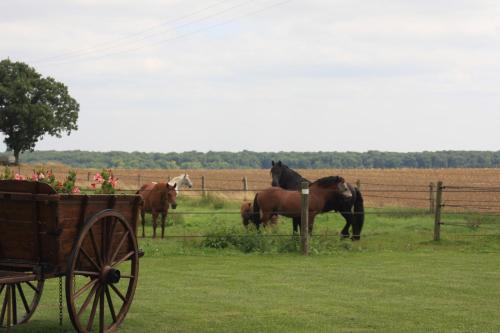Bed & Breakfast La Grange de Boulaines