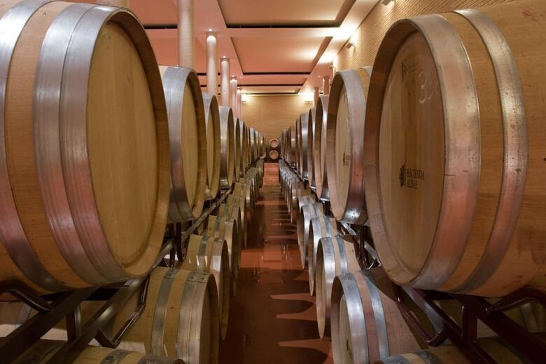 Agroturismo Bodegas Hacienda Albae
