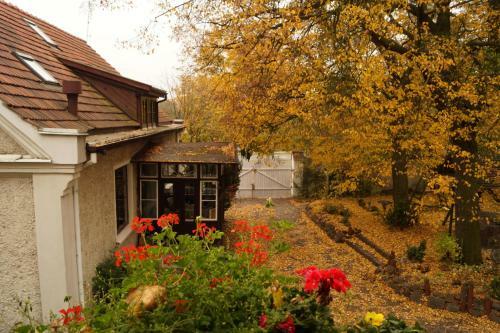 Apartamento M?ynarzowy Dworek