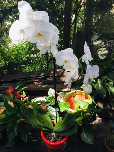 Albergue Sana El Jardin Secreto