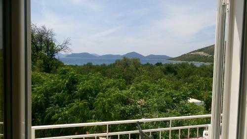 Hostal Guesthouse Budima