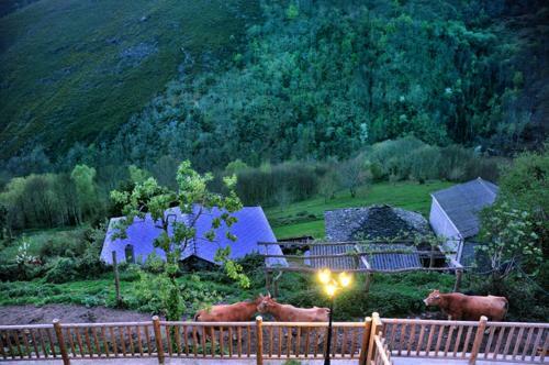 Agroturismo Casa Corral - Casas de Aldea