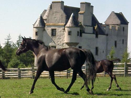 Agroturismo Faside Estate