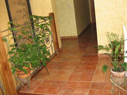 Agroturismo Centro de Turismo Rural El Museo