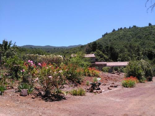 Agroturismo Casa Rural La Gustoza