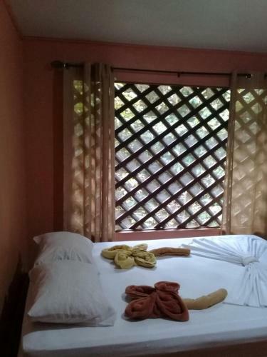 Bed & Breakfast Toucan And Tarpon
