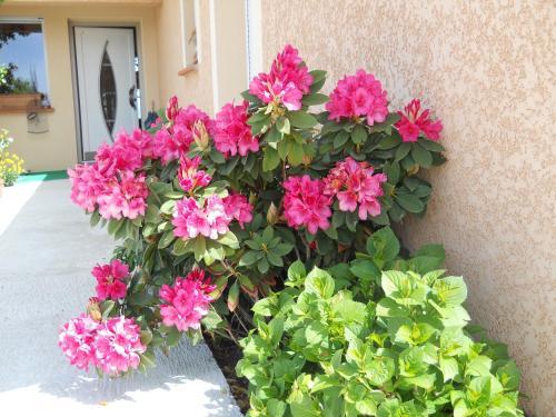 Bed & Breakfast Le Clos Des Mal�zolles