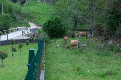 Agroturismo El Prau La Iglesia I