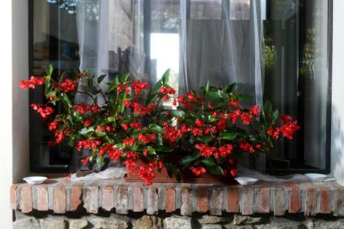 Hostal Agriturismo Borgo Del Taglio
