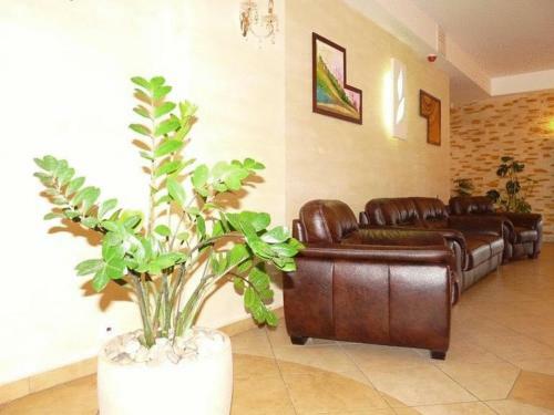 Posada Zajazd Sok�?