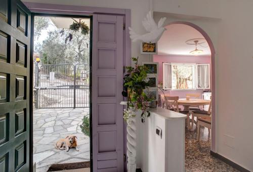 Apartamento Agriturismo C� Di Ughi