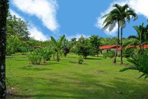 Hotel Volcano Lodge & Gardens