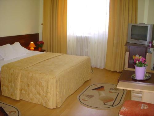 Hotel Decebal