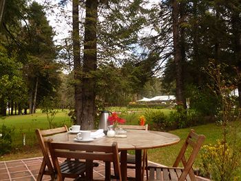 Hotel Rancho Viejo