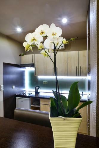 Royal Apartment Kecskem�t