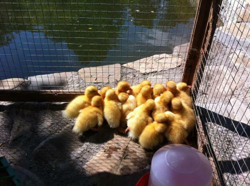 Hostal Pension Valentina