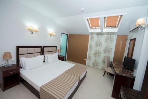 Hostal Pensiunea Steaua Apelor