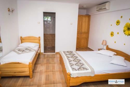Hostal Pensiunea Steaua Apelor