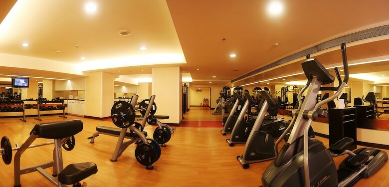 Sayaji Hotel