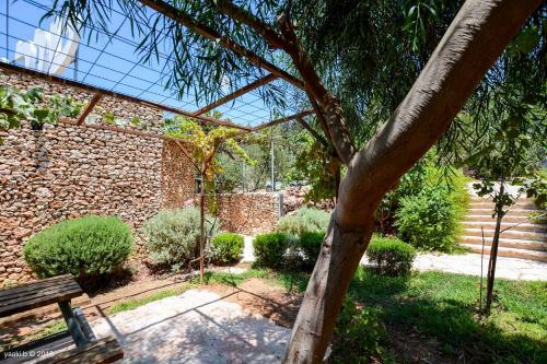 Hostal Tur Sinai Organic Farm Resort