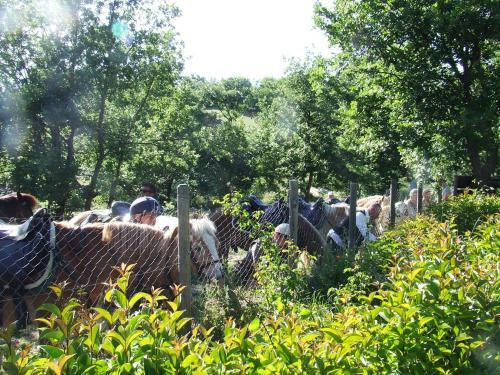 Agroturismo Country House Case Catalano