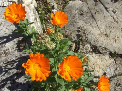 Agroturismo Country House Case Catalano