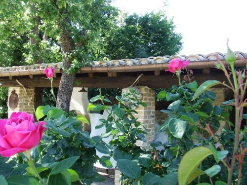 Agroturismo Country House Case Catalano