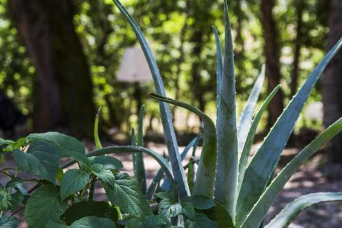 Agroturismo Country House Case Catalano