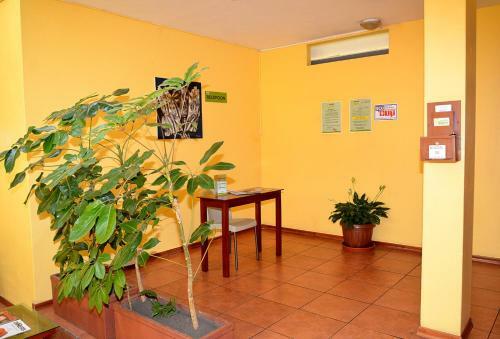 Albergue Hostal Terra 3