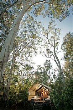 Hotel Paperbark Camp