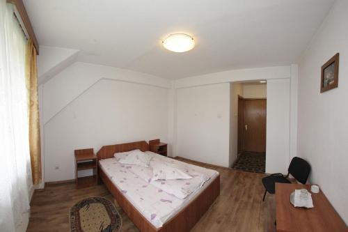 Hostal Pensiunea Pui De Urs Sirnea