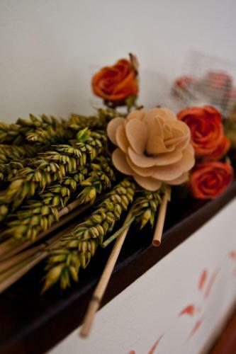Bed & Breakfast Il Sole Del Borgo