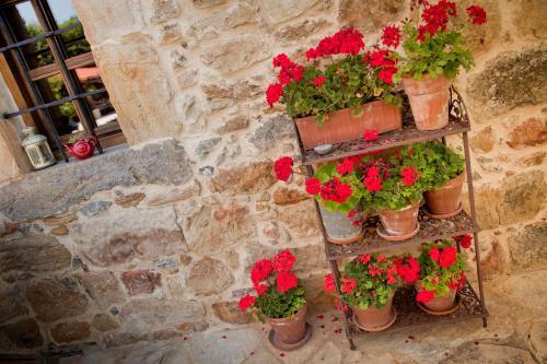 Agroturismo Casona de San Pantale�n de Aras