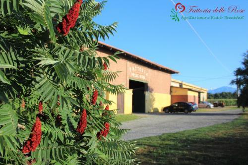Agroturismo Fattoria Delle Rose