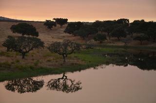 Hostal Herdade Do Sobroso Country House