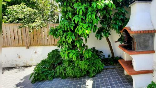 Casa Do Compadre - Casas De Taipa