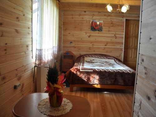 Hotel Medved
