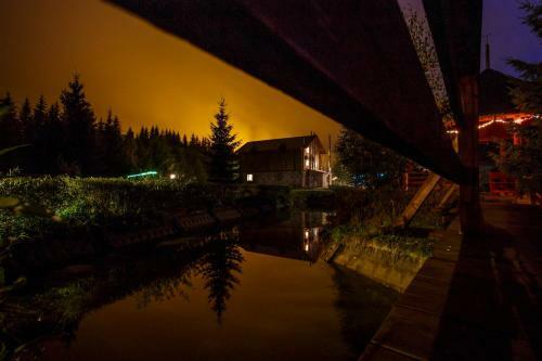Hotel Medved