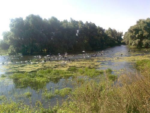 Agroturismo La Raducu
