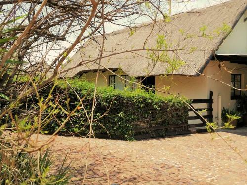 Pine Tree Lodge