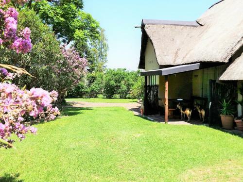 Pine Tree Lodge