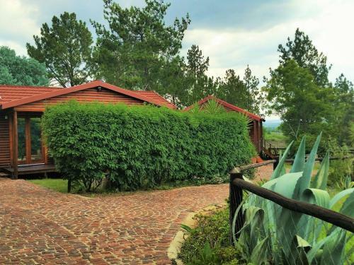 Pine Tree Lodge