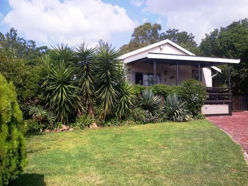 Pine Tree Lodge
