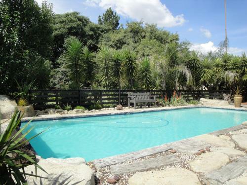 Pine Tree Lodge