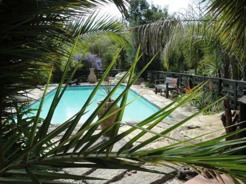Pine Tree Lodge