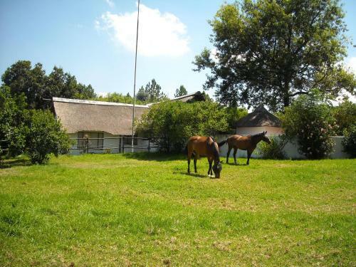 Pine Tree Lodge