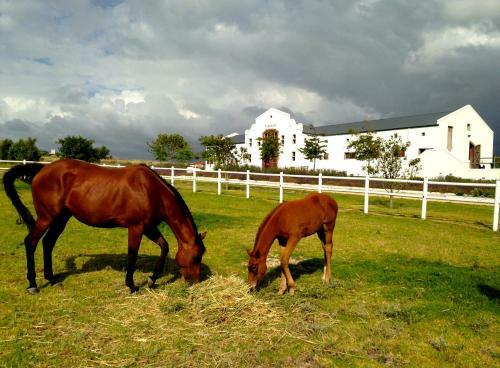 Agroturismo Fijndraai Cottages